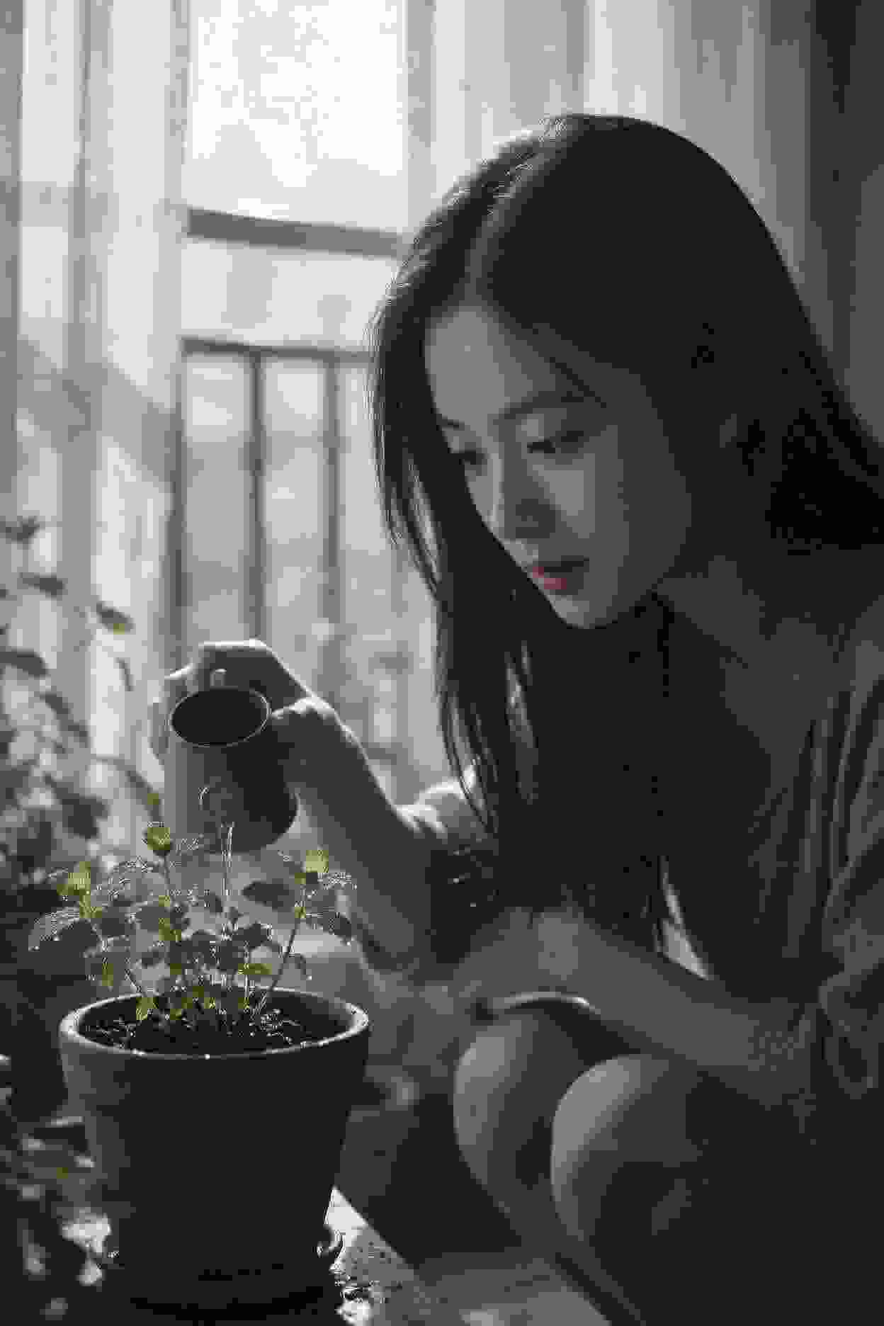 寒夜暖光